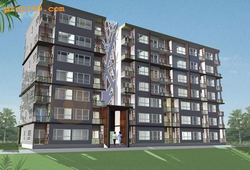 banner-project-details