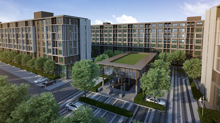 banner-project-details