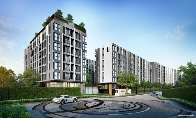 banner-project-details