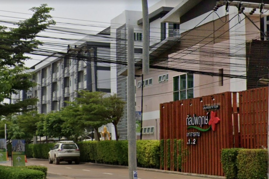 กัลปพฤกษ์-มหาสารคาม