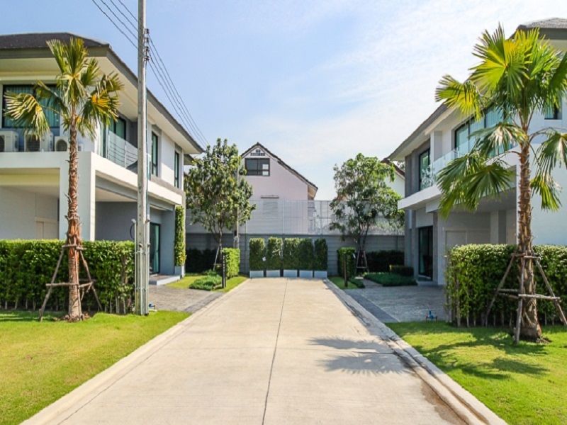 แอริ-แจ้งวัฒนะ