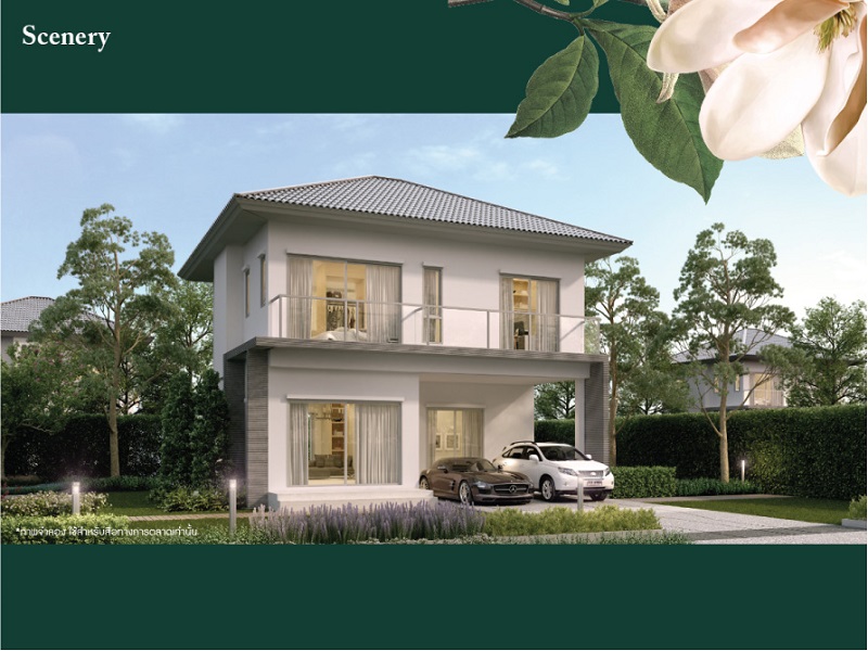 Zerene-Ratchaphruek-Chaengwattana