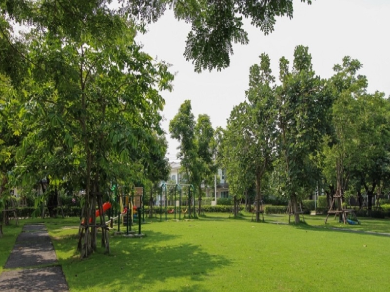 Q-District-Casa-Presto-Donmuang-Songprapa