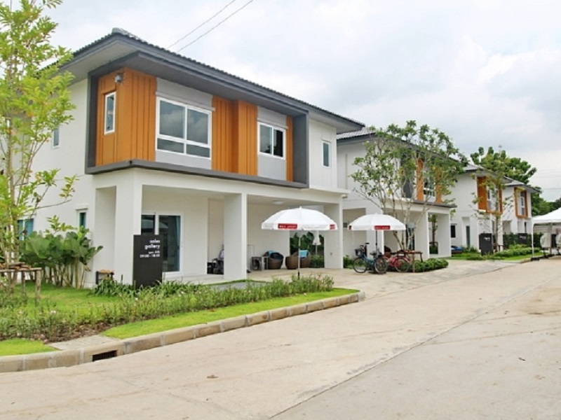 เซนส์-สายไหม-56