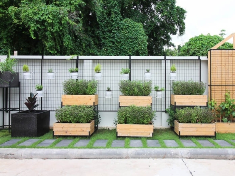 บาว่า-กัลปพฤกษ์-สาทร