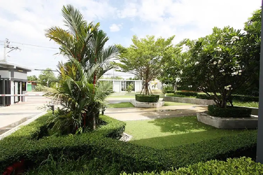 วิสดอม-กรีนทาวน์-2