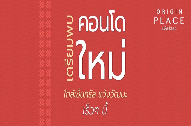 banner-project-details