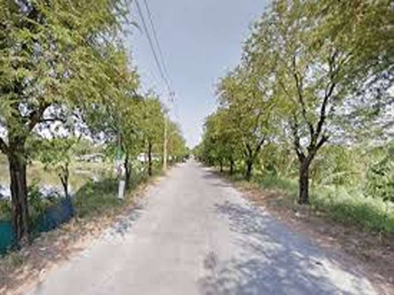 พาร์ควิว-วิลล่า-บางนา-กม-5