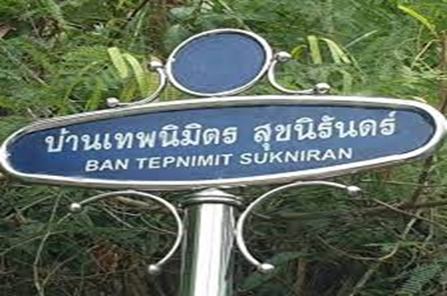 banner-project-details