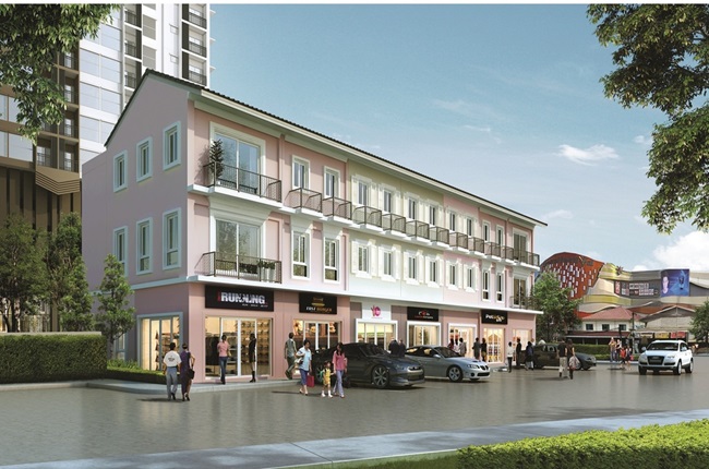 banner-project-details