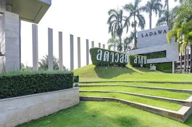 banner-project-details